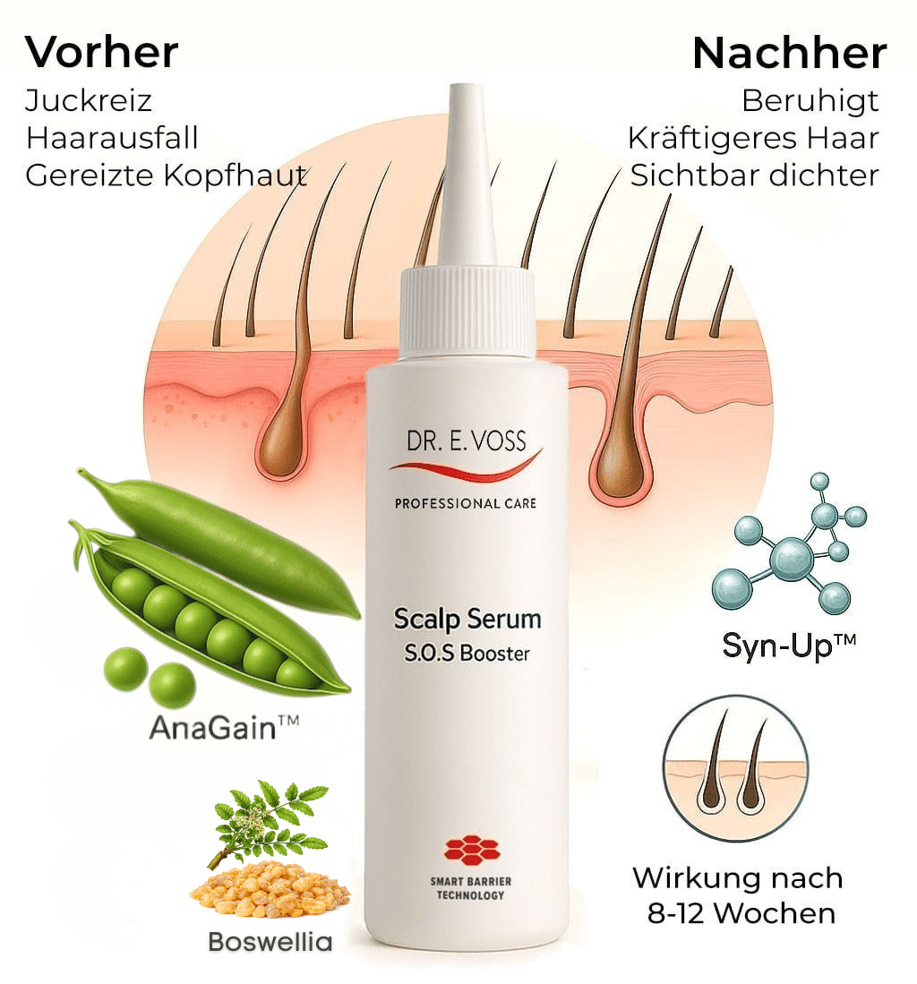 Scalp Serum Wirkstoffe Grafik Vorher und Nachher einer Haarwurzel und Lipidschicht bei Anwendung des Scalp Serums mit den Wirkstoffen AnaGain, Syn-Up und Boswellia.